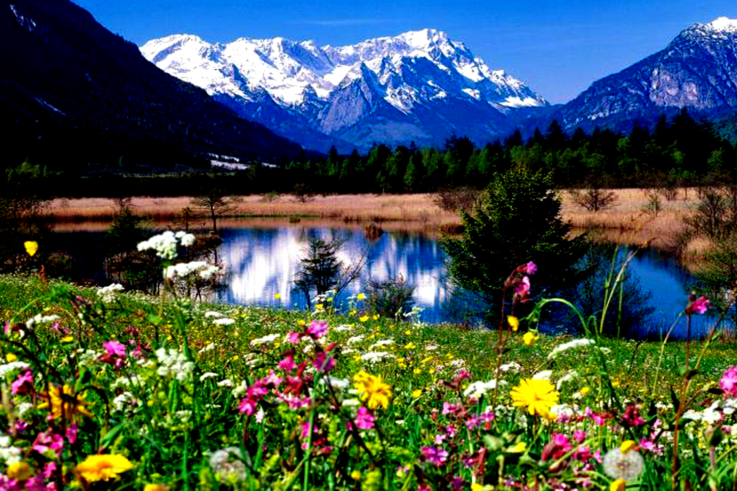 Lake